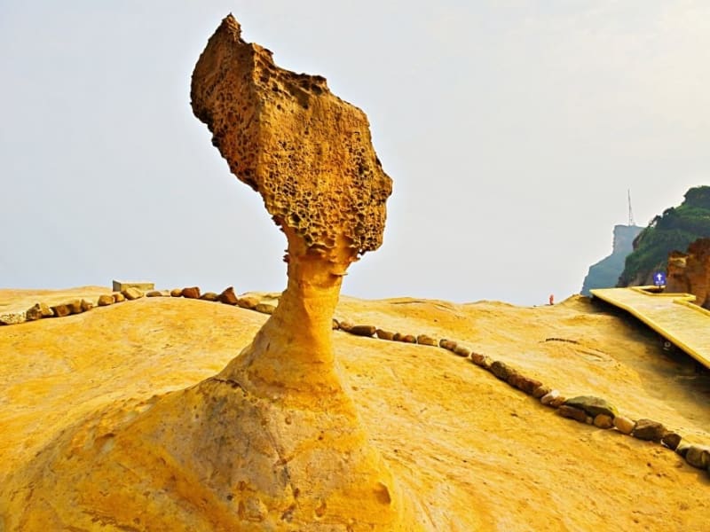 野柳地質公園を訪れます